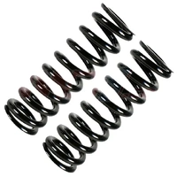 PAIR Rear Shock Suspension Coil Springs 2PCS  For TOYOTA Prado J120 Series 2003~2009 KDJ120 TRJ120 GRJ120 RZJ120 48231-6B040