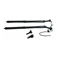 Pair Electric Tailgate Rear Door Gas Struts 2pcs Fit Lexus  2014-2016 NX200t NX300h AGZ15 AYZ15 ZGZ15 68910-79016 + 68920-79016 79005   