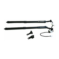 Pair Electric Tailgate Rear Door Gas Struts 2pcs Fit Lexus 2016-2021 NX300 NX300h AGZ15 AYZ15 ZGZ15 68910-79017 + 68920-79017 79018