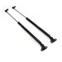 Pair Tailgate Rear Door Gas Struts 2pcs Fit Toyota Land Cruiser 100 Series FZJ100 UZJ100 HDJ100 68950-69056 + 68960-69016       